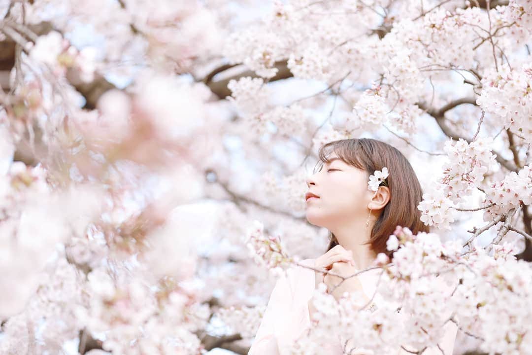 宮森セーラさんのインスタグラム写真 - (宮森セーラInstagram)「りなちゃんの写真からは愛がすごい。﻿ ﻿ タイトルは﻿ ﻿ ｢可憐｣﻿ ﻿ だって🌸﻿ ﻿ ﻿ 可憐になりたい。﻿ ﻿ 桜の花言葉は﻿ ﻿ 「精神美」「優美な女性」「純潔」﻿ ﻿ そうありたいです。  #桜 #桜ポートレート #🌸 #朝比奈里奈 #宮森セーラ #女優 #写真 #モデル #photography #cherryblossom #model」4月4日 22時37分 - sela_miyamori