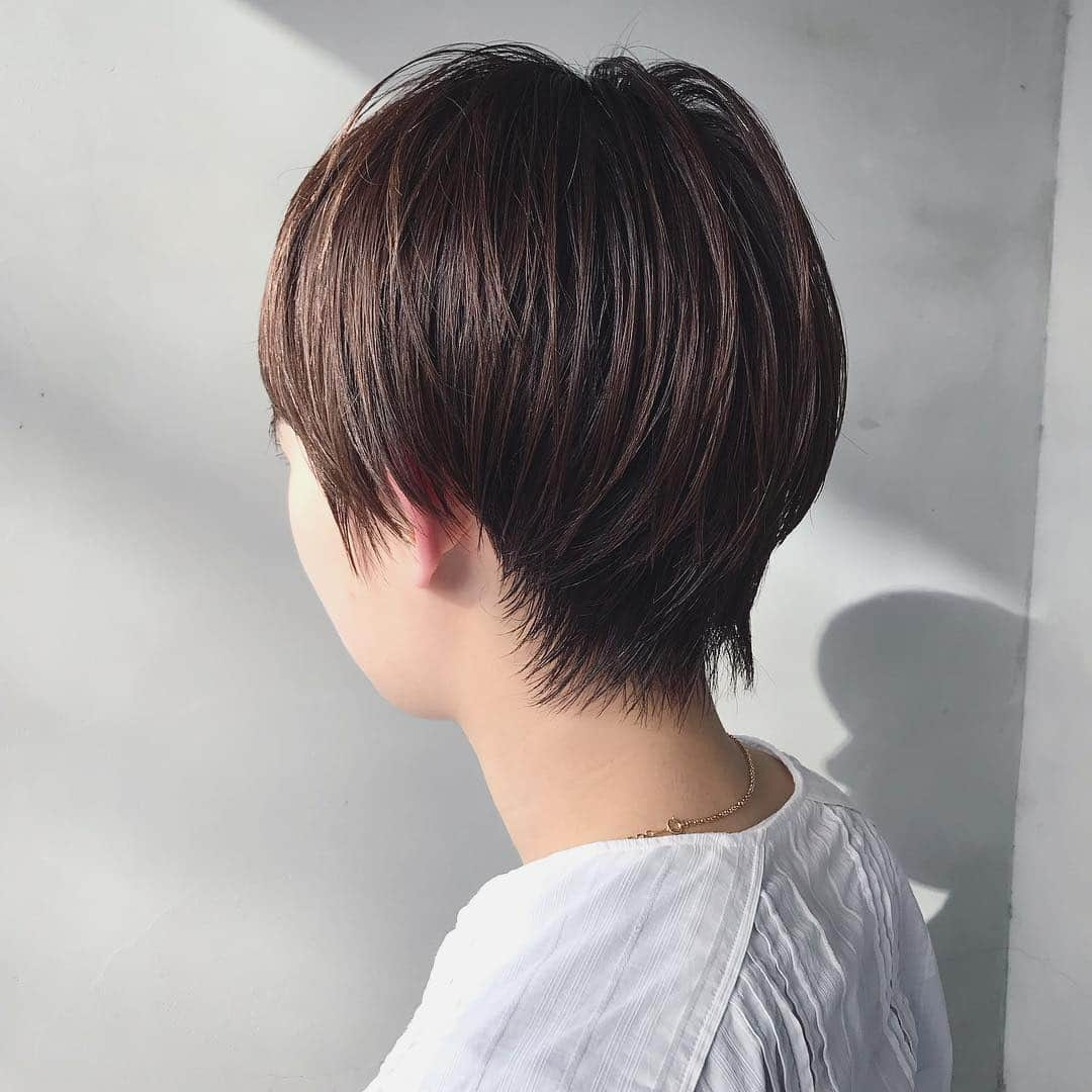 野口和弘さんのインスタグラム写真 - (野口和弘Instagram)「コンパクトショート。 . #CIECA. #shorthair」4月4日 22時39分 - cieca.noguchi