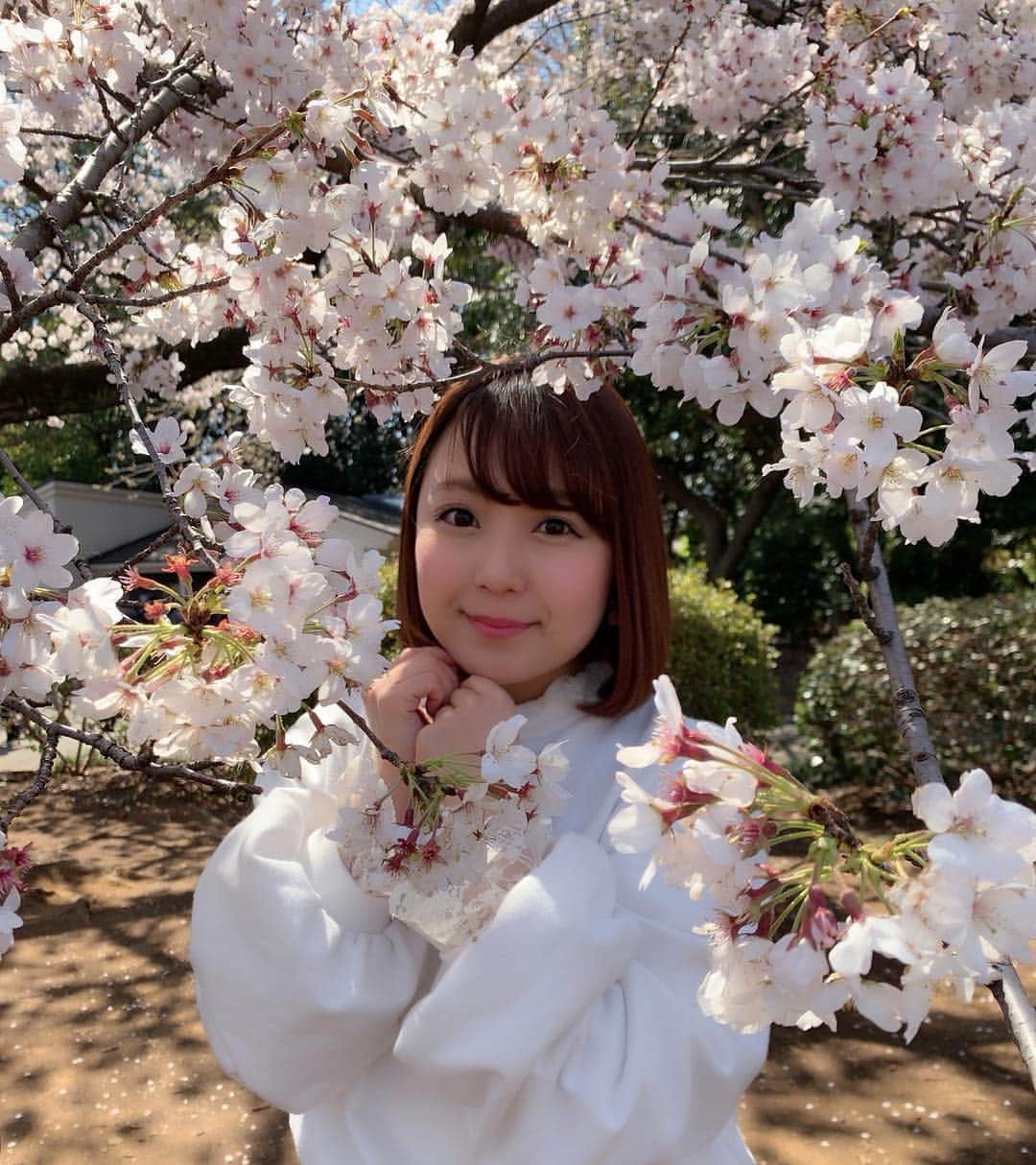 のインスタグラム：「念願のお花見🌸✨✨お天気良くて最高のお花見日和でした😊💓綺麗な桜が満開🌸🌸🌸 #桜 #さくら #sakura #cherryblossom #お花見 #お花見コーデ #新宿御苑 #shinjukugyoen #Tokyo #アラサー女子 #mistywoman #BEAMS #BEAMSboy 150cm #photooftheday #JAPAN #japanesegirl #avex #avexmanagement #instagood #followme #シマリカコーデ #ricashima #嶋梨夏」