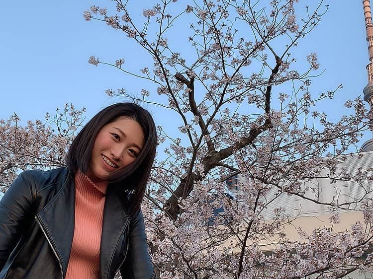 春原未来さんのインスタグラム写真 - (春原未来Instagram)「#桜 #sakura ばかりでごめんね！でも #期間限定 #季節限定 #seasonlimited の #お花 #flower だから許して！これからも続くかも。笑 . #春原未来 #お花見 #浅草 #asakusa #隅田川 #sumidariver #川沿い散歩 #写真好きな人と繋がりたい #カメラマン女子 #限定好き #食べるの大好き #今日のランチ #kappas #omotesando #表参道 #italianrestaurant #イタリアン #昼からワイン #ilovewine」4月4日 22時42分 - sunohara_miki