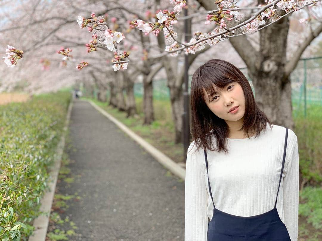 永島聖羅さんのインスタグラム写真 - (永島聖羅Instagram)「桜と私🌸 . . ロケの時にスタッフさんが 撮ってくれました❤︎ . #永島聖羅」4月4日 22時51分 - seira_nagashima
