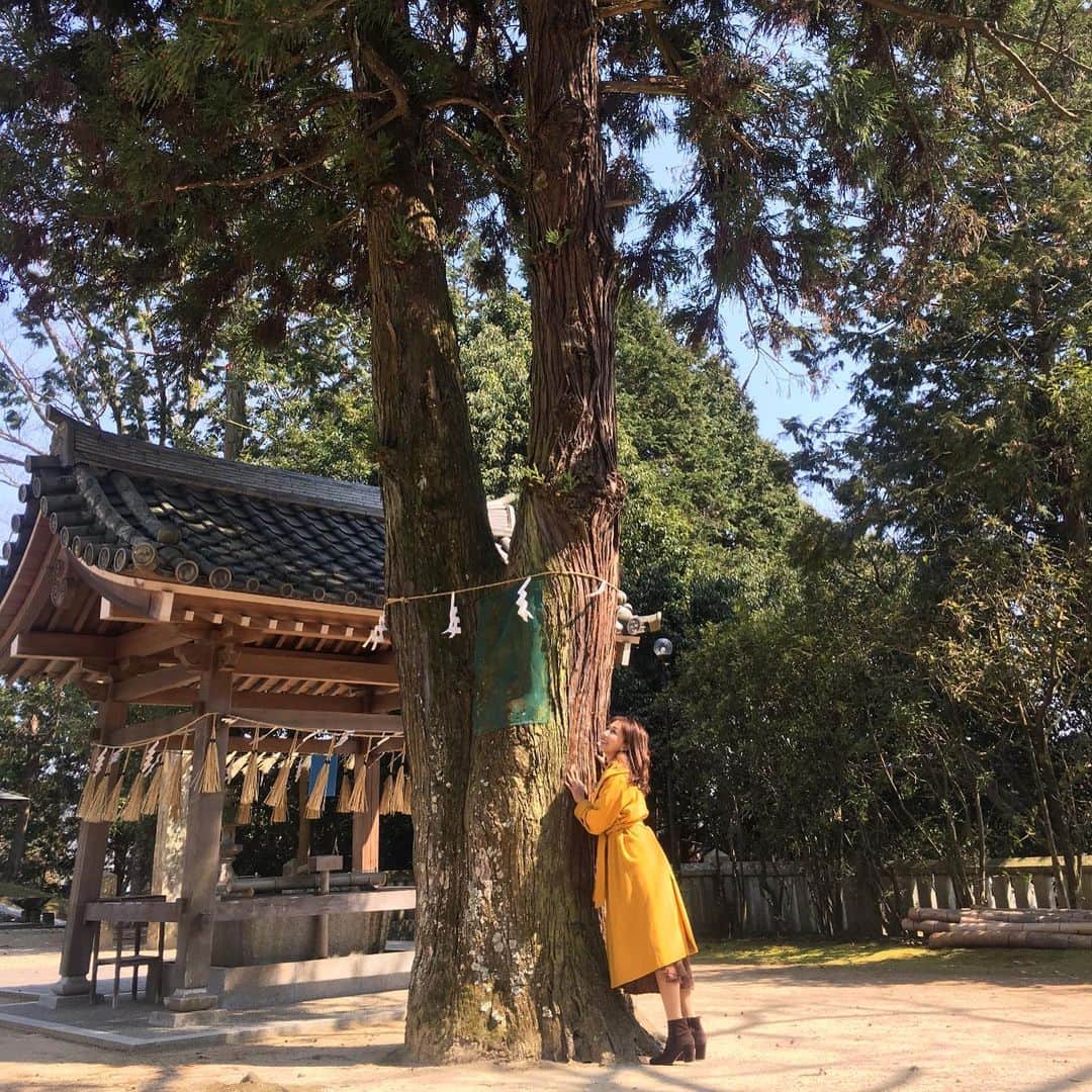 神谷ゆう子のインスタグラム