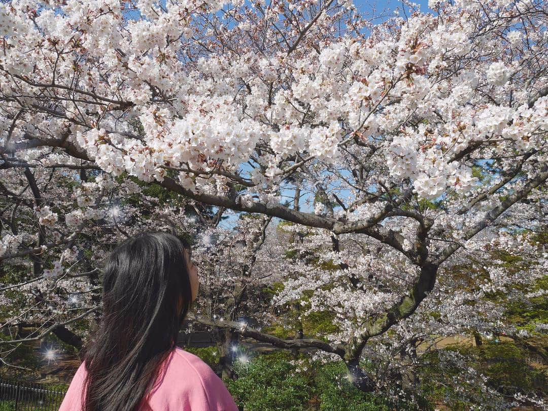 本島莉々果さんのインスタグラム写真 - (本島莉々果Instagram)「🌸🍑🌸🍑 ⋆⑅ ⋆⑅ ⋆⑅ 桜見てきた🌸 このドリンクめちゃうま🤤🍑 ⋆⑅ ⋆⑅ #桜 #sakura  #ピンク  #ピーチアンドピーチ  #drink  #🌸 #🍑 #💕」4月4日 23時02分 - motoshimaririka
