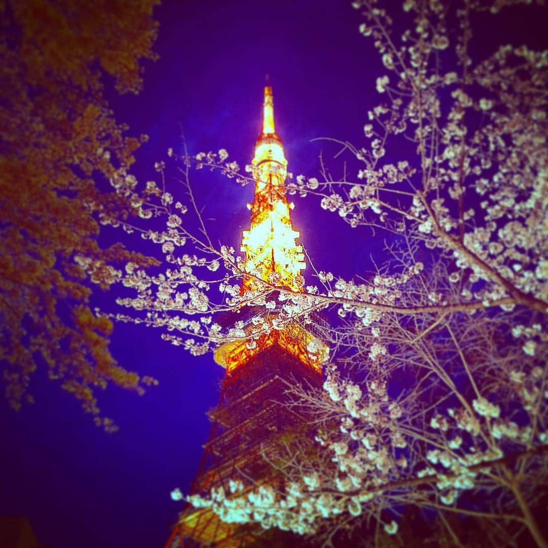KOKIAのインスタグラム：「Explore Tokyo spring  #tokyo #japan #japon #kokia #photography #歌手 #コキア #insta #art #beautiful #picoftheday #follow #女性 #ソングライター #photooftheday #woman #jmusic #ボーカリスト #singer #songwriter #jpop #vocalist #voice #声 #東京タワー#live #綺麗 #日本 #さくら#tokyotower」