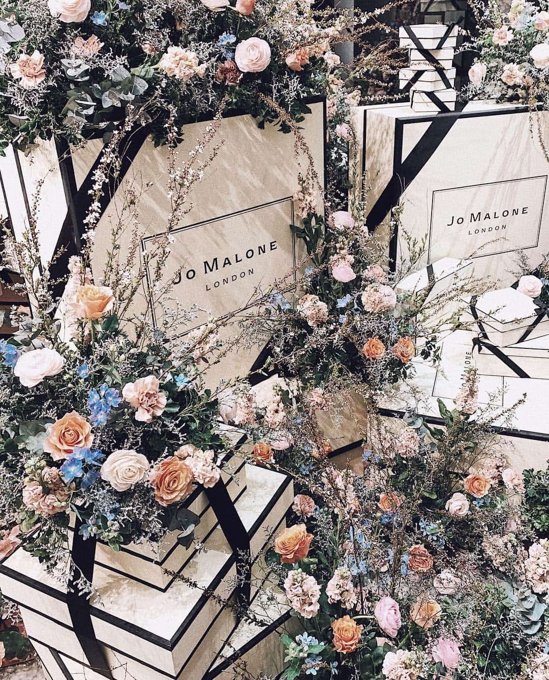 三浦大地さんのインスタグラム写真 - (三浦大地Instagram)「JO MALONE LONDONの新作イベントへ。  春の限定フレグランスが今年は香りが4つも。  揃えたくなる系。  #jomalonelondon #brilliantblossoms #jomalone #fragrance #ジョーマローンロンドン」4月4日 23時19分 - daichi_1127