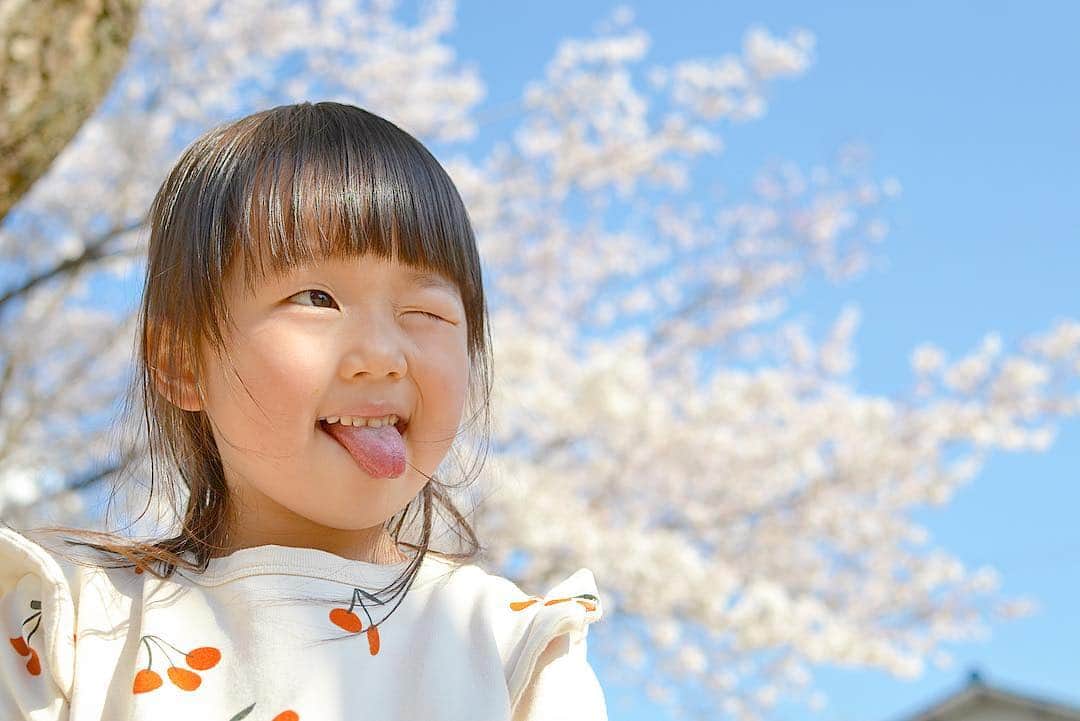 kyokkyさんのインスタグラム写真 - (kyokkyInstagram)「お散歩がてら桜を見に行きました🌸 2日連続同じ場所へ笑🌸 広島でどこら辺が桜がきれいか分からなくてここばかり。でもここも綺麗🌸 姉妹でペロッ👅ブーム🌸」4月4日 23時24分 - kyokky