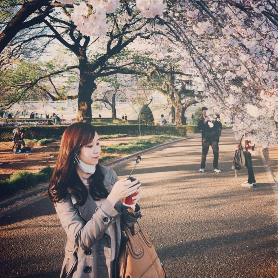 福田友理子さんのインスタグラム写真 - (福田友理子Instagram)「* * お花見へ🌸🍡✨ ソメイヨシノの他に、ヒザクラやシダレザクラなど沢山の桜が見頃でした☺️🌸 * 日本の四季は本当に美しい💐 特に春は花が溢れてとても好き * * #お花見 #春 #桜 #ソメイヨシノ #ヒザクラ #シダレザクラ #新宿御苑  #spring #sakura #cherryblossom」4月4日 23時30分 - yuriko.fu