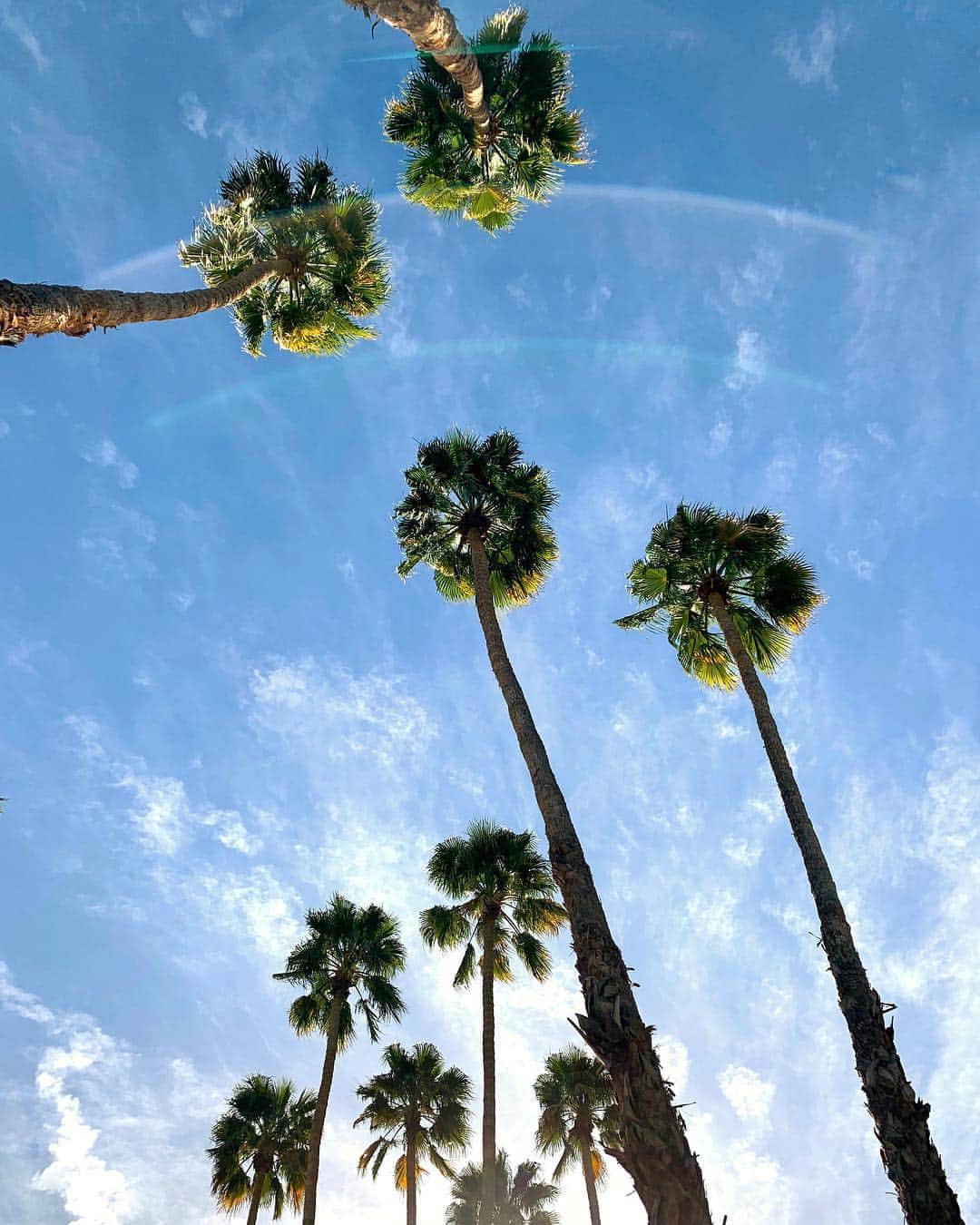 ギャランス・ドレさんのインスタグラム写真 - (ギャランス・ドレInstagram)「Why do we love palm trees so much? . . . . 🌴🌴🌴🌴🌴🌴🌴🌴🌴🌴🌴 . 💛💛💛💛💛💛💛💛💛💛💛 . 😊😊😊😊😊😊😊😊😊😊😊 . @leparadisbeauty : Palm trees are the international symbol for vacation 🌴🌴🌴🌴🌴 . @lorenaespinozagobel : Delicate looking but very strong . @jjmartinmilan : because they look like supermodels? . @alexandra.galadriel : parce qu’ils ressemblent au soleil . @stoicjacelyn : “I suddenly realized I was in California. Warm, palmy air - air you can kiss - and palms.” - Jack Kerouac」4月4日 23時37分 - garancedore