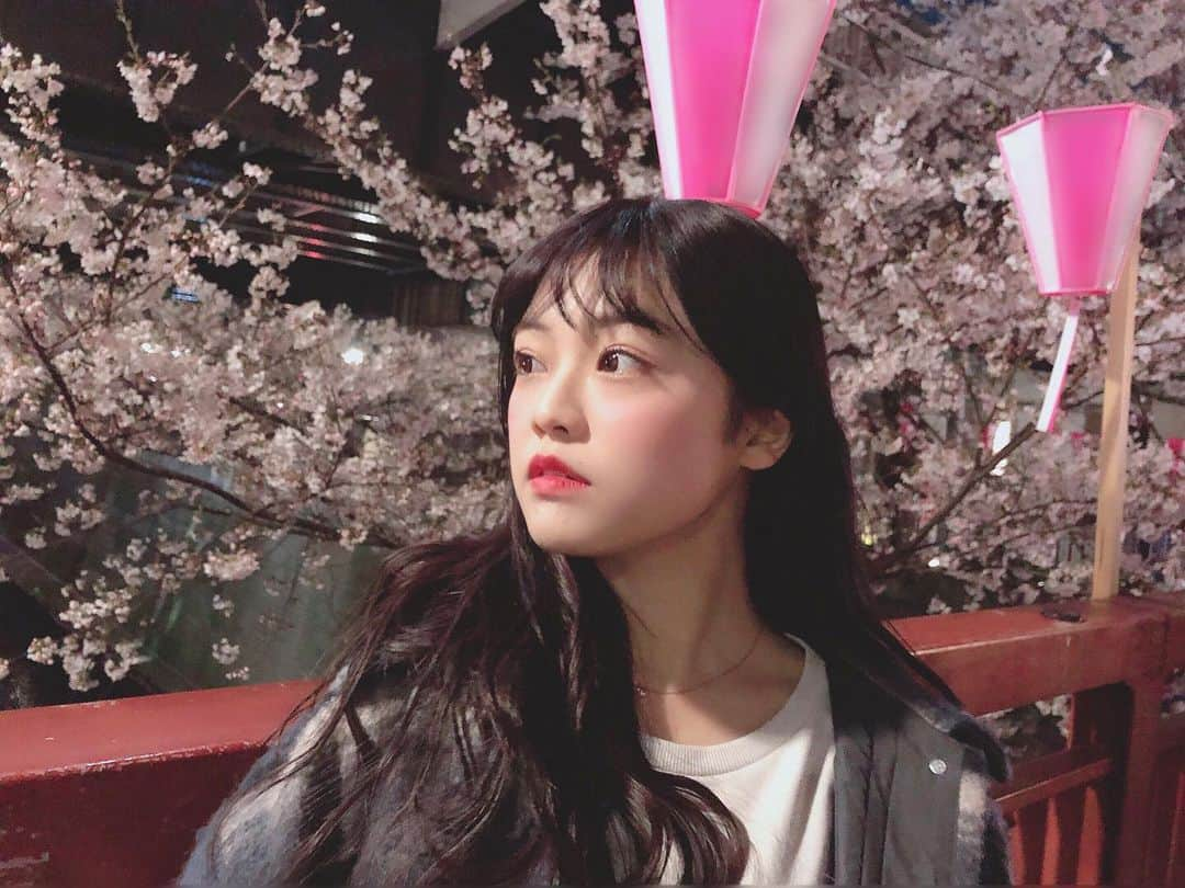 本村碧唯さんのインスタグラム写真 - (本村碧唯Instagram)「お昼の桜より夜桜の方が好きかも🌸 #お花見 #夜桜 #中目黒」4月5日 0時08分 - aoi0531.m