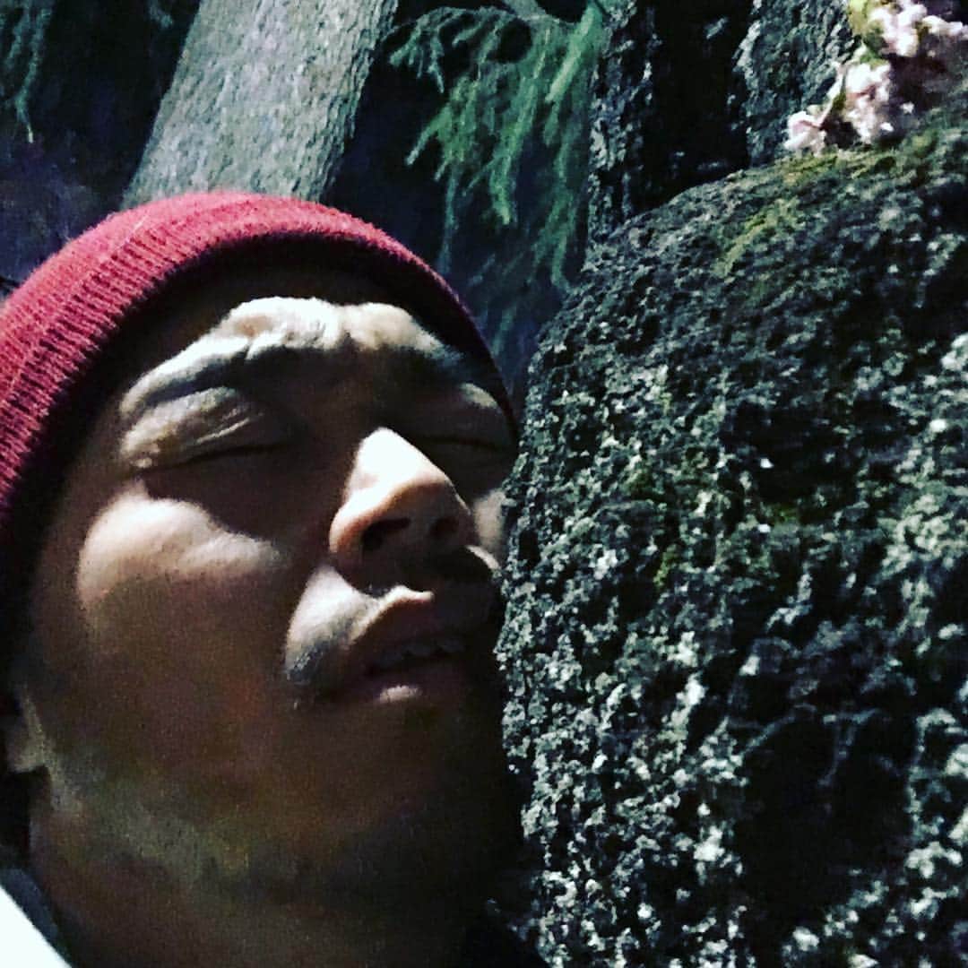 福田洋さんのインスタグラム写真 - (福田洋Instagram)「パワースポット・新井薬師梅照院でパワー花見。。🌸 エナジーみなぎる桜の木を抱きしめ丸刈りおじさんでした。。 #謎メン #お花見🌸  #パワースポット #パワーツリー  #yoga」4月5日 0時04分 - trans_am_hiroshi