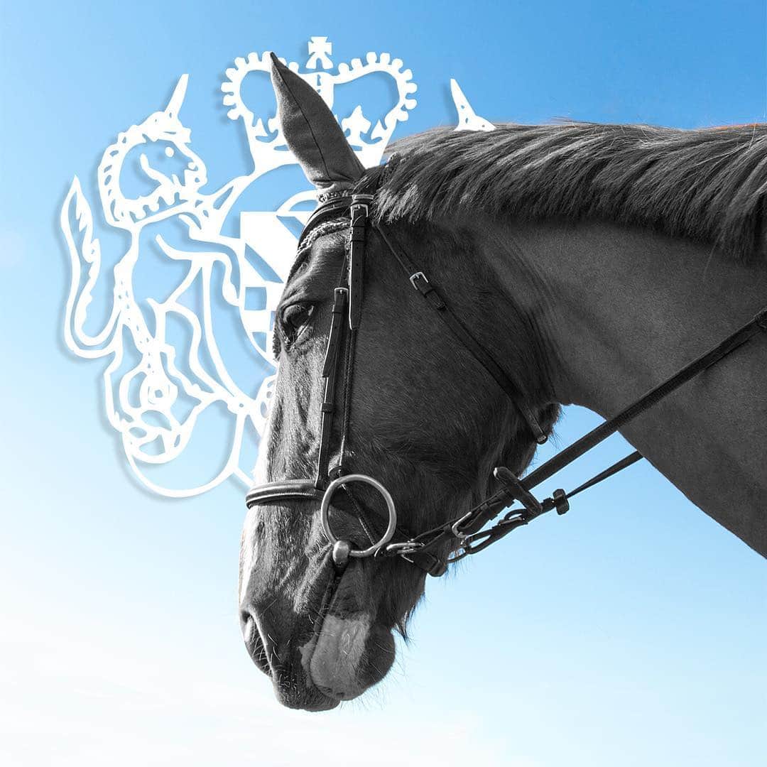 アルベルトファッシャーニさんのインスタグラム写真 - (アルベルトファッシャーニInstagram)「"A horse, a horse! My kingdom for a horse!” "Un cavallo! Un cavallo! Il mio regno per un cavallo!" W. Shakespeare . . . #albertofasciani #ridingboots #horselifestyle #horsepassion #horseriding #italianfootwear #handmadeboots #luxury #luxurywear #equineart #madeinitaly🇮🇹 #passionecavalli #equitazione #cavalieri」4月5日 0時05分 - albertofasciani_official