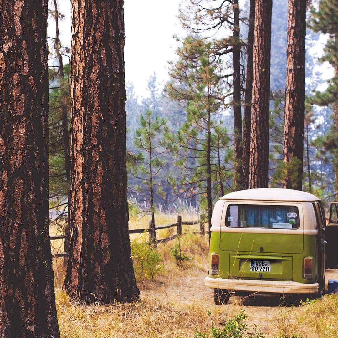 フォルクスワーゲンさんのインスタグラム写真 - (フォルクスワーゲンInstagram)「Local recreation. #tbt #forest #vwmicrobus #volkswagen #vw」4月5日 0時14分 - volkswagen