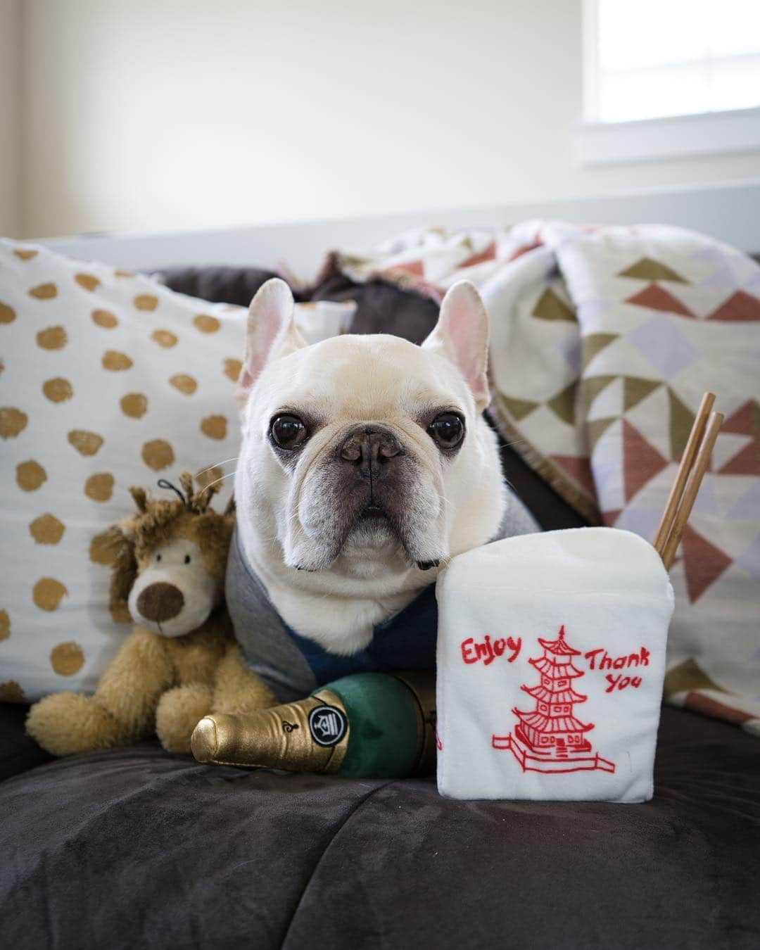 Sir Charles Barkleyさんのインスタグラム写真 - (Sir Charles BarkleyInstagram)「Tonight’s the night! Claimed my spot on the couch and got my snacks ready to watch @cwinthedark! Excited to learn more about Pretzel and all the fun he and his human gets into! Zero Fs Given! #sponsored Tune in to the new series #CWInTheDark tonight 9/8c」4月5日 0時16分 - barkleysircharles