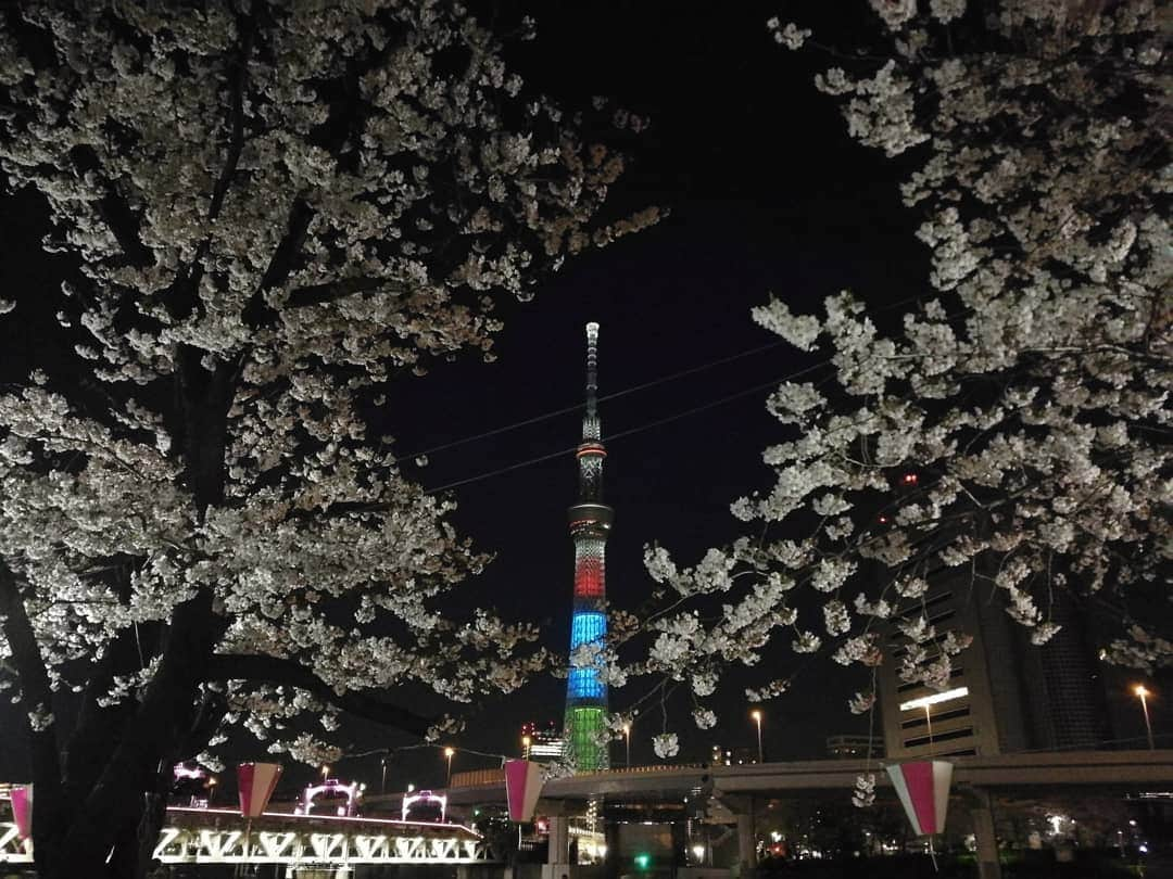 栗山絵美さんのインスタグラム写真 - (栗山絵美Instagram)「#夜桜 #スカイツリーの🌸も発見 #癒されました  #明日からまた笑って頑張ろう」4月5日 0時29分 - jumboebig