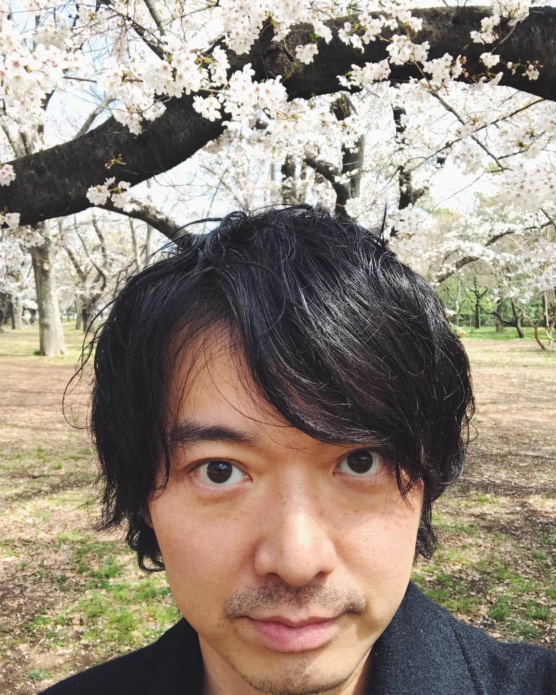 林幸治さんのインスタグラム写真 - (林幸治Instagram)「花見おじさん」4月5日 0時43分 - tct_koji_hayashi