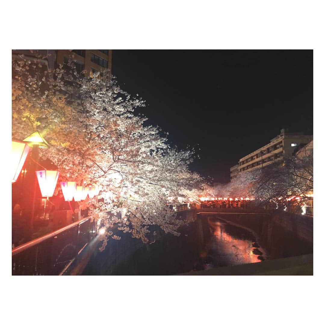 Rioのインスタグラム：「🌸✨夜桜✨🌸 この移り変わる四季は 日本の宝ですね、、、✨ 今日は寒さもキツくなく 夜桜鑑賞にはもってこいだったな🎶  久々"肉巻きオニギリ"ゲット😂 今年はいちごの🍓シャンパンロゼが 目玉商品だったみたいで！！ 車の運転があり断念、、、🤤 そして！！！ 近日中に皆さまにご報告がございますっ！✨ 更新が少なくなっていましたが、 ちょくちょく覗きに来て頂けたら うれしいですっ☺️🌈✨ It was a good night for cherry-blossom viewing!  Please come to Japan in April!  I think you can have a great experience!🌸✨ #sakura#ohanami#nakameguro#nakameguroriver#japan#jp_portrait#april#girl#happy day#happy#love#桜#東京#中目黒#中目黒桜#お花見#屋台#散歩#夜桜#夜桜散歩#🌸#近日発表#お楽しみに❤️#Rio#mix#We hope you'll be looking forward to my announcement!」