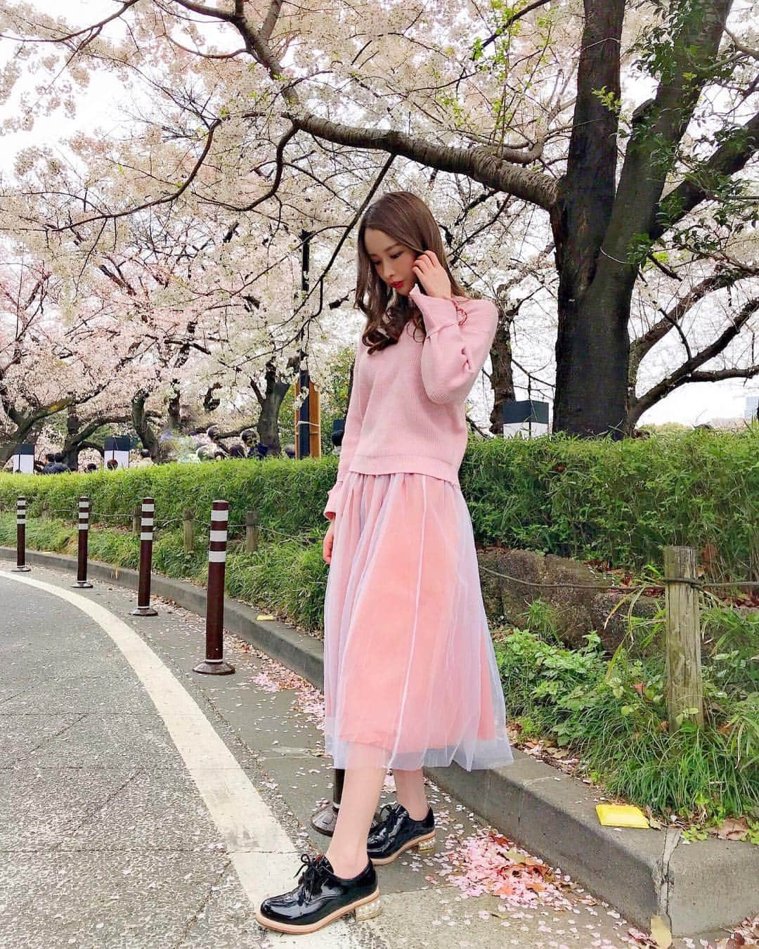 吉見衣世さんのインスタグラム写真 - (吉見衣世Instagram)「桜🌸 ・ ・ リプトンのさくらミルクティーにハマってます🥰 ・ ・ ニット・スカート・シューズ全て @17kg_official ・ ・ #桜#お花見#17kg#ピンク#千鳥ヶ淵」4月5日 1時14分 - iyori_nu