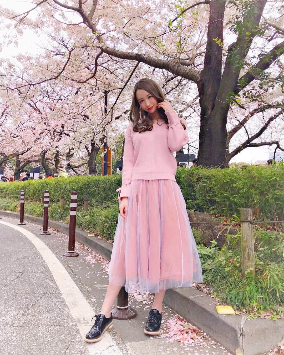 吉見衣世さんのインスタグラム写真 - (吉見衣世Instagram)「桜🌸 ・ ・ リプトンのさくらミルクティーにハマってます🥰 ・ ・ ニット・スカート・シューズ全て @17kg_official ・ ・ #桜#お花見#17kg#ピンク#千鳥ヶ淵」4月5日 1時14分 - iyori_nu