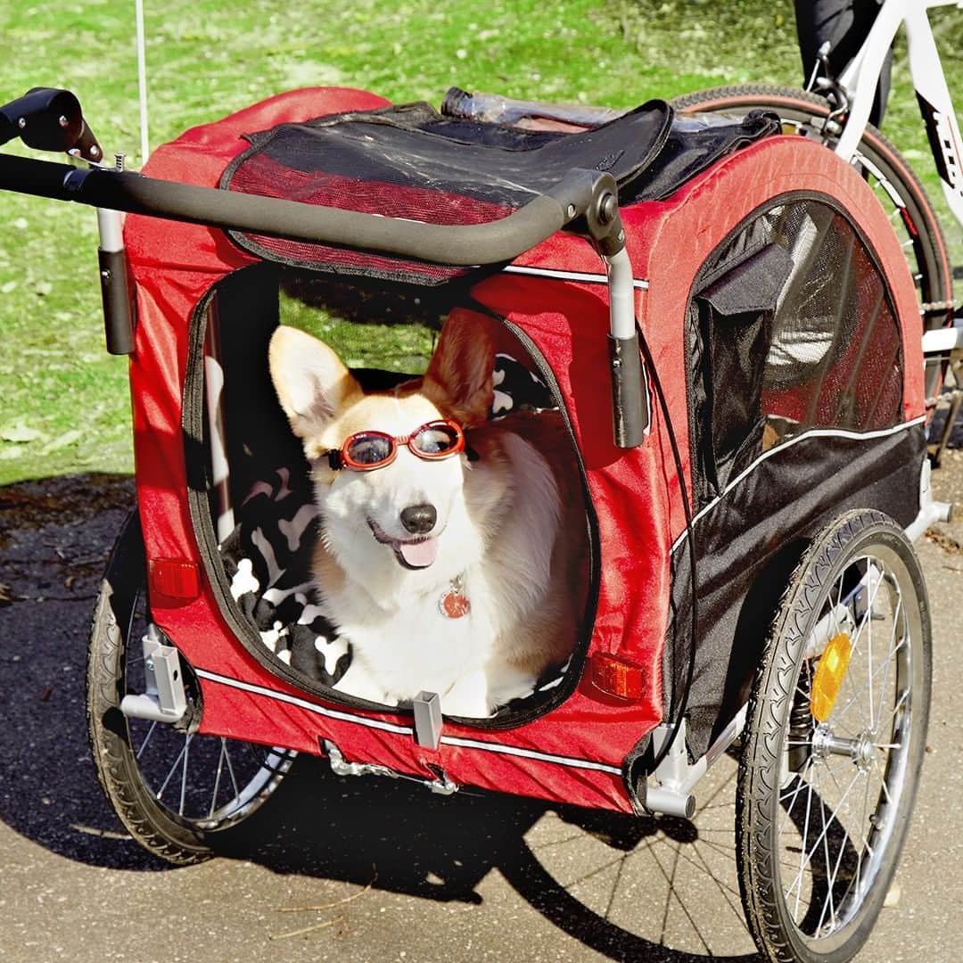 Wal-Mart Stores, Incさんのインスタグラム写真 - (Wal-Mart Stores, IncInstagram)「Does your pupper dream of the open road? The 2-in-1 Pet Stroller is better than a motorcycle sidecar because you don’t need to buy a motorcycle. #walmartpets」4月5日 1時27分 - walmart