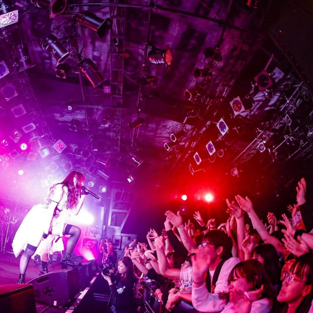 LADYBABYさんのインスタグラム写真 - (LADYBABYInstagram)「LADYBABY(March 27, 2019  Shibuya Club Quattro)」4月5日 1時23分 - ladybaby_jp