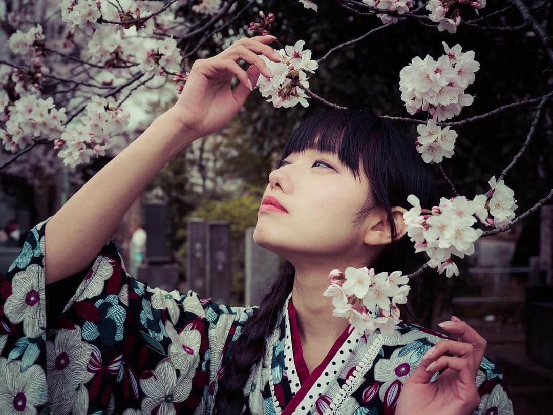 秋元るいさんのインスタグラム写真 - (秋元るいInstagram)「桜🌸×モノクロ×👘 . . #マシュマロ撮影会 #日暮里 #モノクローム #着物 #portrait #portraitphotography #good_portraits_world #lovers_nippon_portrait #portraits #jp_portrait部 #三つ編み #photography #写真好きな人と繋がりたい #ファインダー越しの私の世界 #instagood #fashion #photographer #photooftheday #東京カメラ部 #tokyocameraclub  #ポートレートしま専科 #japanesegirl #followme #ig_japan  #kawaiigirl #インスタグラマー #春コーデ  #sakura #sakura🌸 #今日のコーデ」4月5日 12時39分 - akimoto_rui