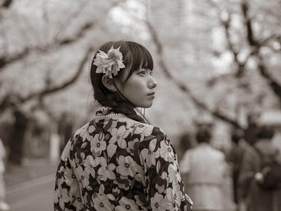 のインスタグラム：「桜🌸×モノクロ×👘 . . #マシュマロ撮影会 #日暮里 #モノクローム #着物 #portrait #portraitphotography #good_portraits_world #lovers_nippon_portrait #portraits #jp_portrait部 #三つ編み #photography #写真好きな人と繋がりたい #ファインダー越しの私の世界 #instagood #fashion #photographer #photooftheday #東京カメラ部 #tokyocameraclub  #ポートレートしま専科 #japanesegirl #followme #ig_japan  #kawaiigirl #インスタグラマー #春コーデ  #sakura #sakura🌸 #今日のコーデ」