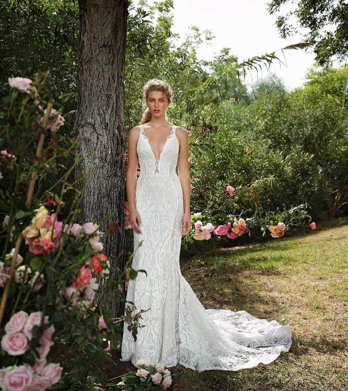 Magnolia Whiteさんのインスタグラム写真 - (Magnolia WhiteInstagram)「Just arrived! The beautiful #GALA_207 by @galialahav is covered in floral lace and sprinkled with the perfect amount of starlight.﻿ Make your appointment today to try on this beauty!﻿ ﻿ MAGNOLIA WHITE honolulu﻿ 808.800.3088 | info-hawaii@magnolia-white.com﻿﻿ ﻿ MAGNOLIA WHITE honoluluにGalia LahavのGALA-207が入荷いたしました。花モチーフの総レースに手の込んだ刺繍が施されたマーメイドドレスです。是非お試しください。﻿ ご試着をご希望のお客様はメールにてお申し込みをお願いいたします。﻿﻿﻿ Mail : info-hawaii@magnolia-white.com﻿﻿﻿ ﻿ #magnoliawhite #mwhawaii #magnoliawhitehawaii #galialahav #gala207 #weddingdress #weddinggown #bridalgown #couturegown #lacedress #hawaiiwedding #hawaiibride #bridalfashion #マグノリアホワイト #ガリアラハヴ #ウエディングドレス #マーメイドドレス #マーメイドライン #インポートドレス #オーダードレス #ドレス試着 #ドレス選び #海外ウエディング #海外挙式 #ハワイ挙式 #ハワイウエディング #ハワイ婚 #リゾートウエディング #リゾ婚﻿﻿」4月5日 12時39分 - magnoliawhite_official