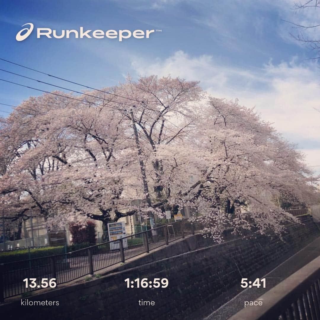 柴田聡さんのインスタグラム写真 - (柴田聡Instagram)「朝RUN♪ #妙正寺川  #川沿いラン #サブ4ペース #ハシリマスタグラム」4月5日 11時25分 - satorushiba