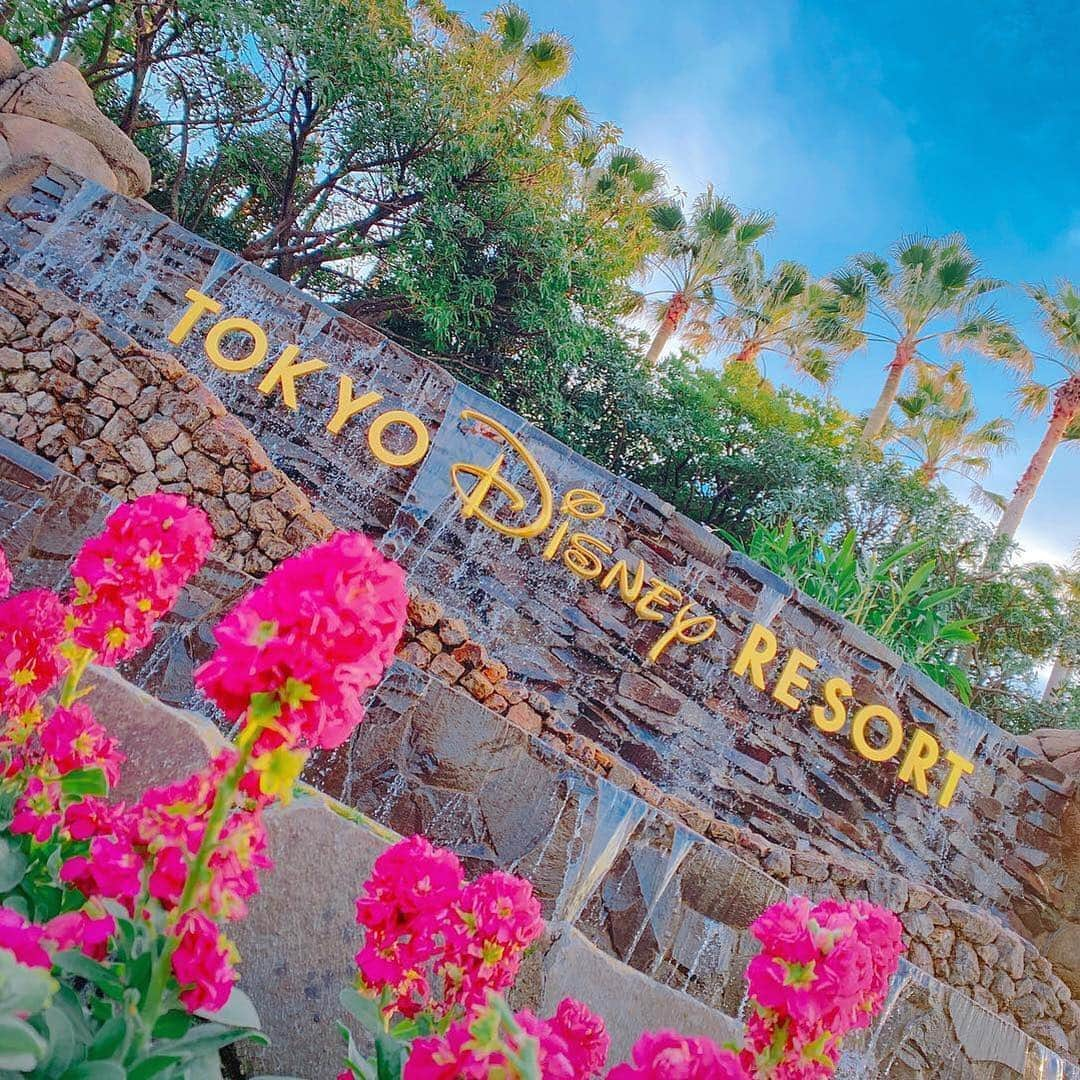 東京ディズニーリゾートさんのインスタグラム写真 - (東京ディズニーリゾートInstagram)「Tokyo Disney Resort welcomes you. 今日はどんな風に楽しむ？ (Photo:@m.mic109min)  #resort #東京ディズニーリゾート  これからもゲストのみなさんの写真をご紹介します。 #tokyodisneyresort などをつけて投稿してくださいね。詳しくは公式ブログでご案内しています。 http://www.tokyodisneyresort.jp/blog/151005/」4月5日 11時27分 - tokyodisneyresort_official