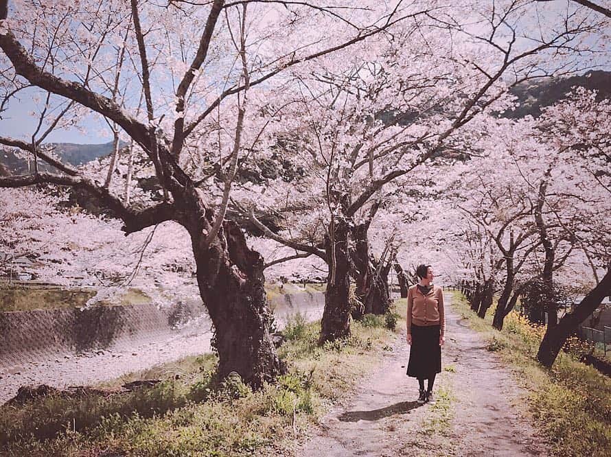 RIKACOさんのインスタグラム写真 - (RIKACOInstagram)「静岡の桜もとっても綺麗🌸💘なんだろうなやけに落ち着く感じ😌ストレスフリー🦋 #静岡  #桜 #rikaco_fashion」4月5日 11時34分 - rikaco_official