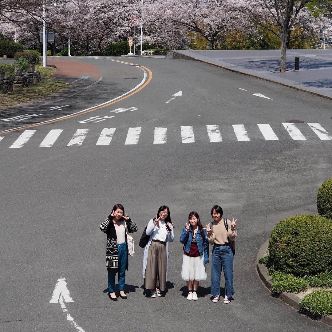 福岡女子短期大学のインスタグラム