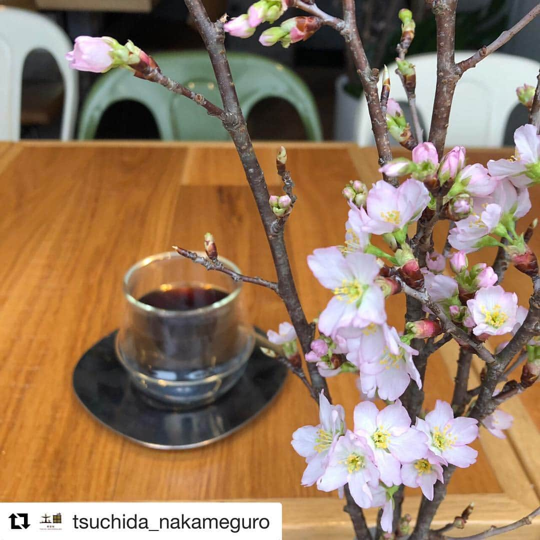 LDH kitchenさんのインスタグラム写真 - (LDH kitchenInstagram)「. @tsuchida_nakameguro ・・・ お花見仕様&お花見コース 4月6日までとなります🌸 ご予約お待ちしております👨🏻‍🍳👩🏻‍🍳 . 本日も17:00〜営業いたします。 皆さまのご来店をお待ちしております！ _________________________________ 野菜畑 土田 ☎︎03-6303-2871 17:00〜23:00 / 日・祝休み http://tsuchida-n.jp #LDHkitchen #野菜畑土田 #tsuchida #tokyonakameguro  #中目黒 #土と田 #桜 #目黒川 #花見」4月5日 11時58分 - ldhkitchen_official