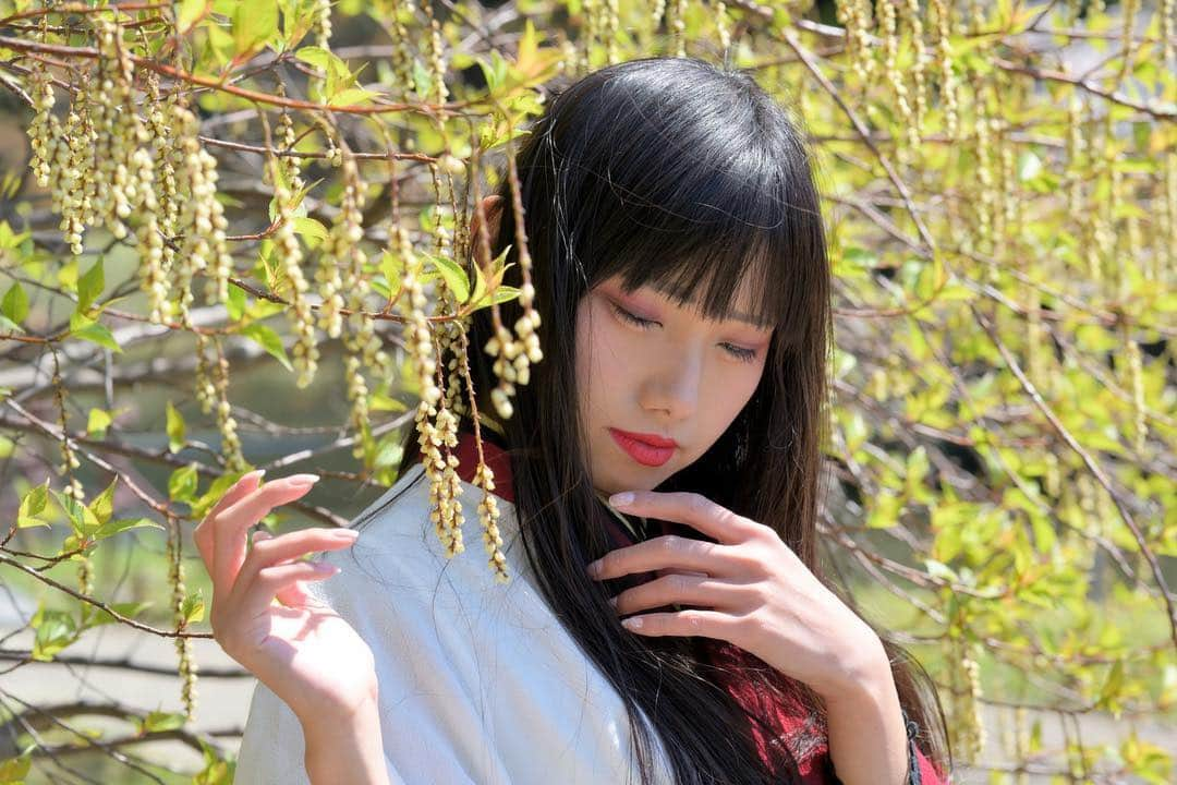 秋元るいさんのインスタグラム写真 - (秋元るいInstagram)「桜も綺麗だけど、キブシも撮ってきたよ！よき😍✨ . #マシュマロ撮影会 #神楽坂 #キブシ #着物 #portrait #portraitphotography #good_portraits_world #lovers_nippon_portrait #portraits #jp_portrait部 #三つ編み #photography #写真好きな人と繋がりたい #ファインダー越しの私の世界 #instagood #fashion #photographer #photooftheday #東京カメラ部 #tokyocameraclub  #ポートレートしま専科 #japanesegirl #followme #ig_japan  #kawaiigirl #インスタグラマー #春コーデ  #sakura #sakura🌸 #今日のコーデ」4月5日 12時00分 - akimoto_rui