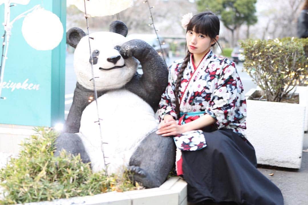 のインスタグラム：「ぱんだ🐼🐼🐼🐼🐼 . #マシュマロ撮影会 #上野 #パンダ #着物 #portrait #portraitphotography #good_portraits_world #lovers_nippon_portrait #portraits #jp_portrait部 #三つ編み #photography #写真好きな人と繋がりたい #ファインダー越しの私の世界 #instagood #fashion #photographer #photooftheday #東京カメラ部 #tokyocameraclub  #ポートレートしま専科 #japanesegirl #followme #ig_japan  #kawaiigirl #インスタグラマー #春コーデ  #sakura #sakura🌸 #今日のコーデ」