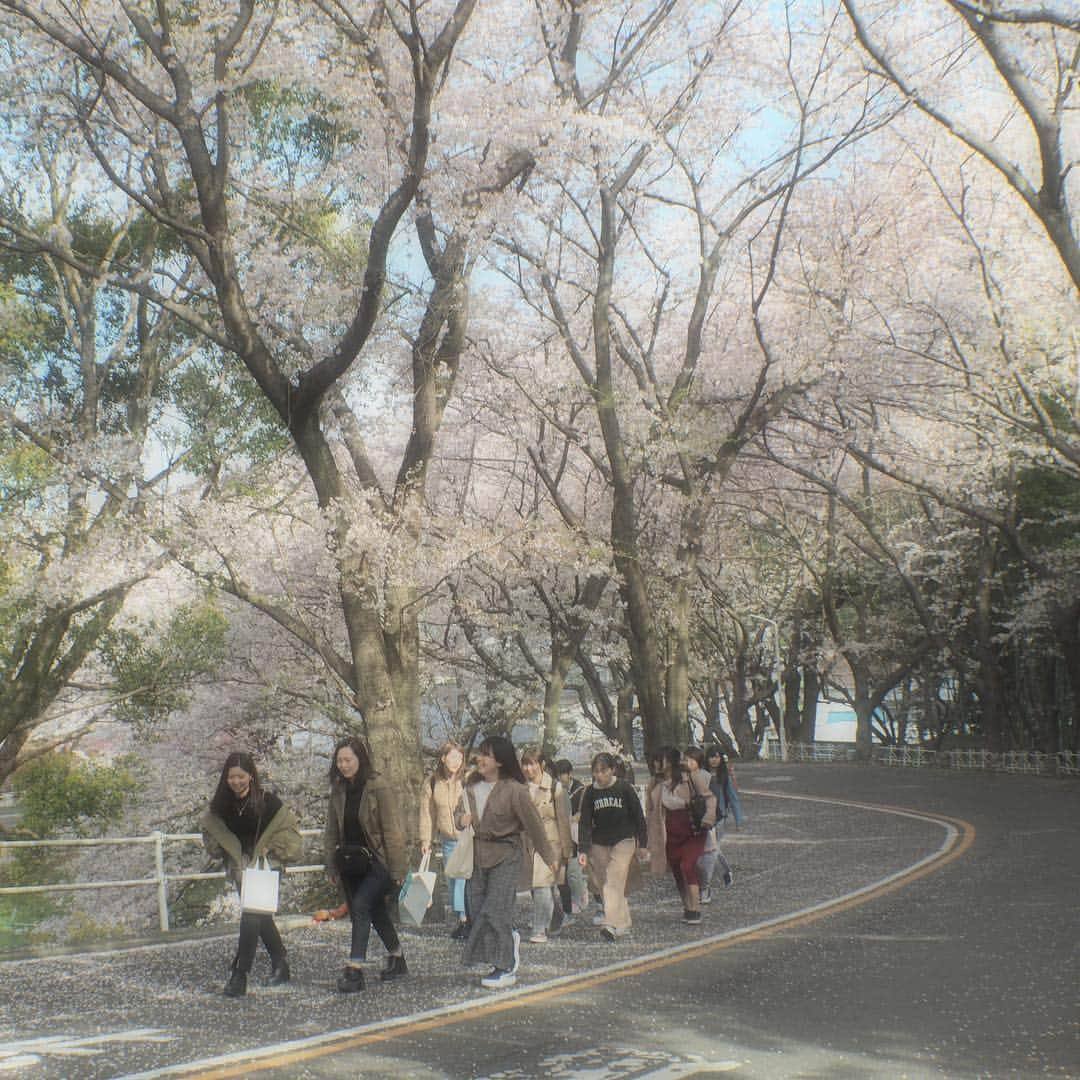 福岡女子短期大学さんのインスタグラム写真 - (福岡女子短期大学Instagram)「@福岡女子短期大学 今日から前期講義がスタートしました🌷キャンパス内で友達と待ち合わせをしている人、楽しく話しながらキャンパスに向かう人、福女短の日常が戻ってきました🎀 . #福女短　#福岡女子短期大学　#前期　#スタート　＃サクラ⁠ ⁠ #福岡女子短期大学 #福女短 #太宰府　#新入生　#新1年生　#新入学生　#オリエンテーション　#学校が始まる　#短期大学　#大学　 #女子大生　#写真好きな人と繋がりたい　#講義開始 #キャンパス　#普段着 #ナチュラルコーデ #大学生コーデ #着回し #着回しコーデ #春コーデ　#クラスメイト #通学コーデ 　#学生  #福女短スナップ #4月5日 #スナップ写真 #スナップショット  #アオハル . ======[ 資料請求 ]====== ． 福岡女子短期大学の資料請求（大学案内・入試要項など）を無料送付中です。お気軽に申し込みください。 . 子ども学科/健康栄養学科 音楽科/文化教養学科 ． 福岡女子短期大学 住所：‪福岡県太宰府市五条四丁目16番1号‬ tel：‪092-922-4034‬（代表） ‪092-922-1491（入試広報課）‬ . ====== ====== ======」4月5日 12時08分 - fukuoka_wjc