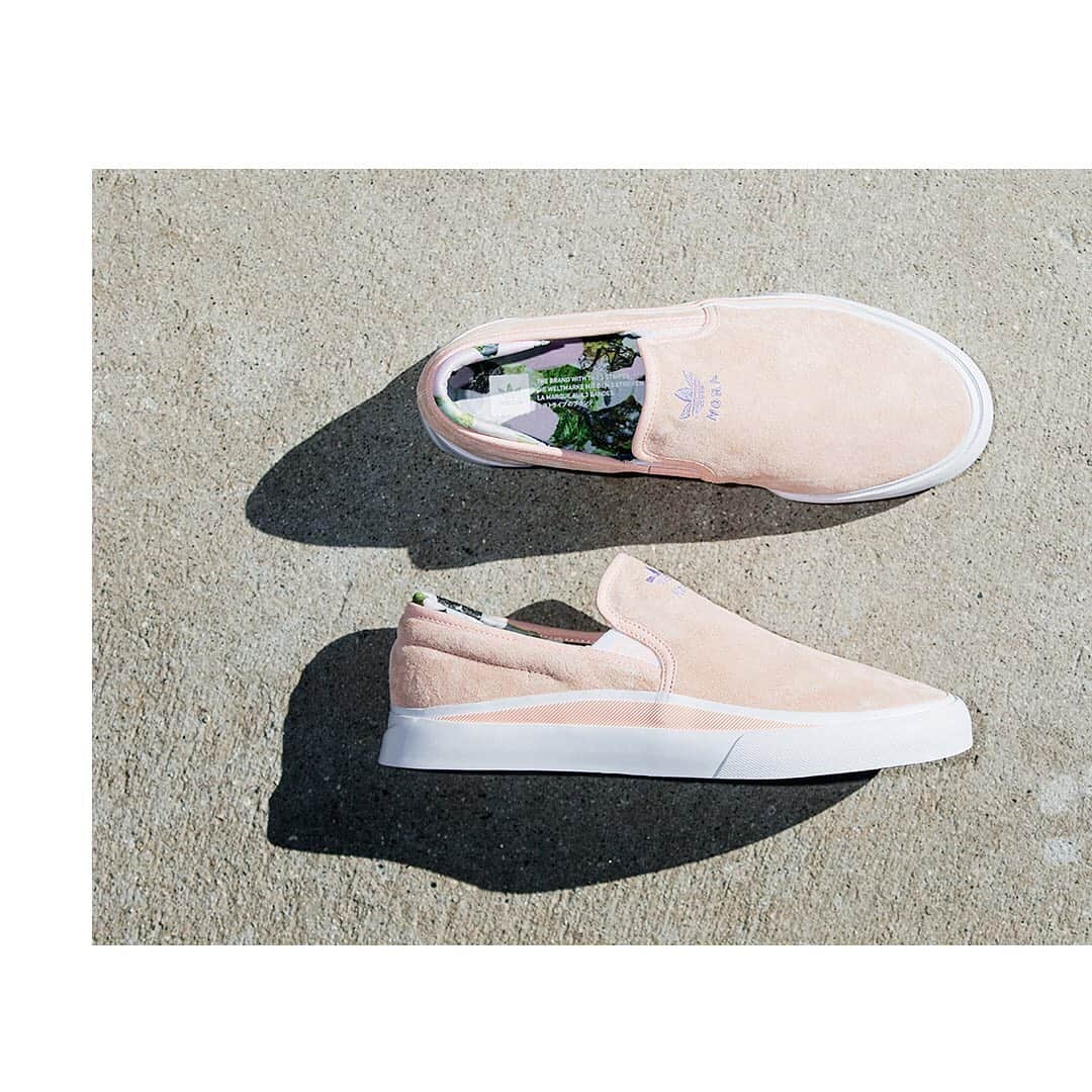 adidas Skateboardingさんのインスタグラム写真 - (adidas SkateboardingInstagram)「Nora’s take on Sabalo /// Combined with @noravexplora’s artwork, the Sabalo Slip is a perfect combination for her signature colorway. In stores now.  #adidasSkateboarding x #adidasSabalo」4月5日 4時05分 - adidasskateboarding