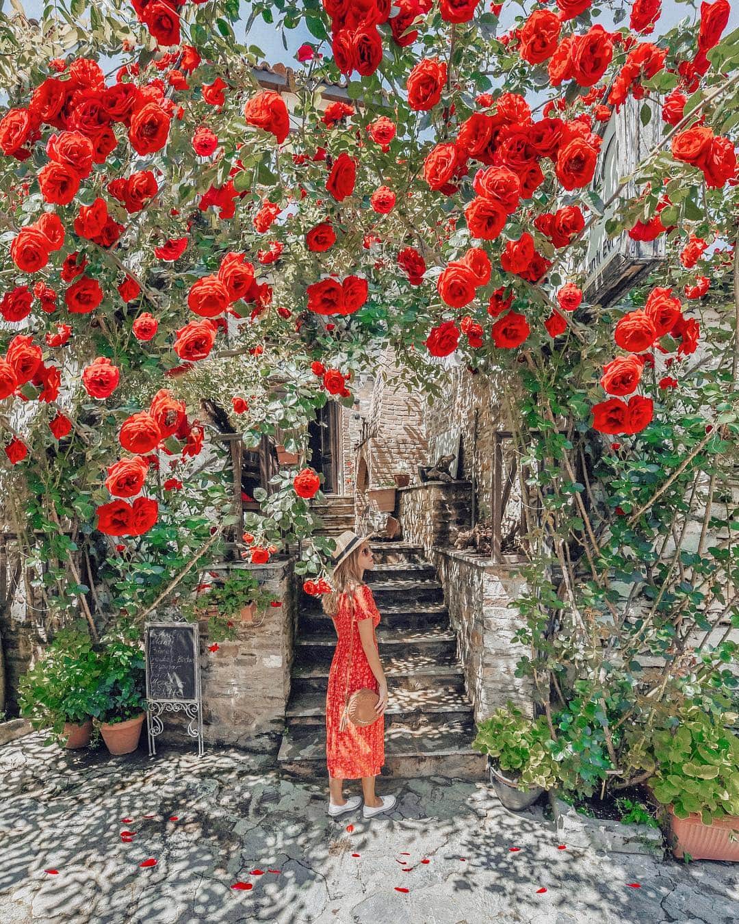 Izkizのインスタグラム：「Stop and take the time to smell the roses 🌹 (and then take a million photos of them, obviously)」