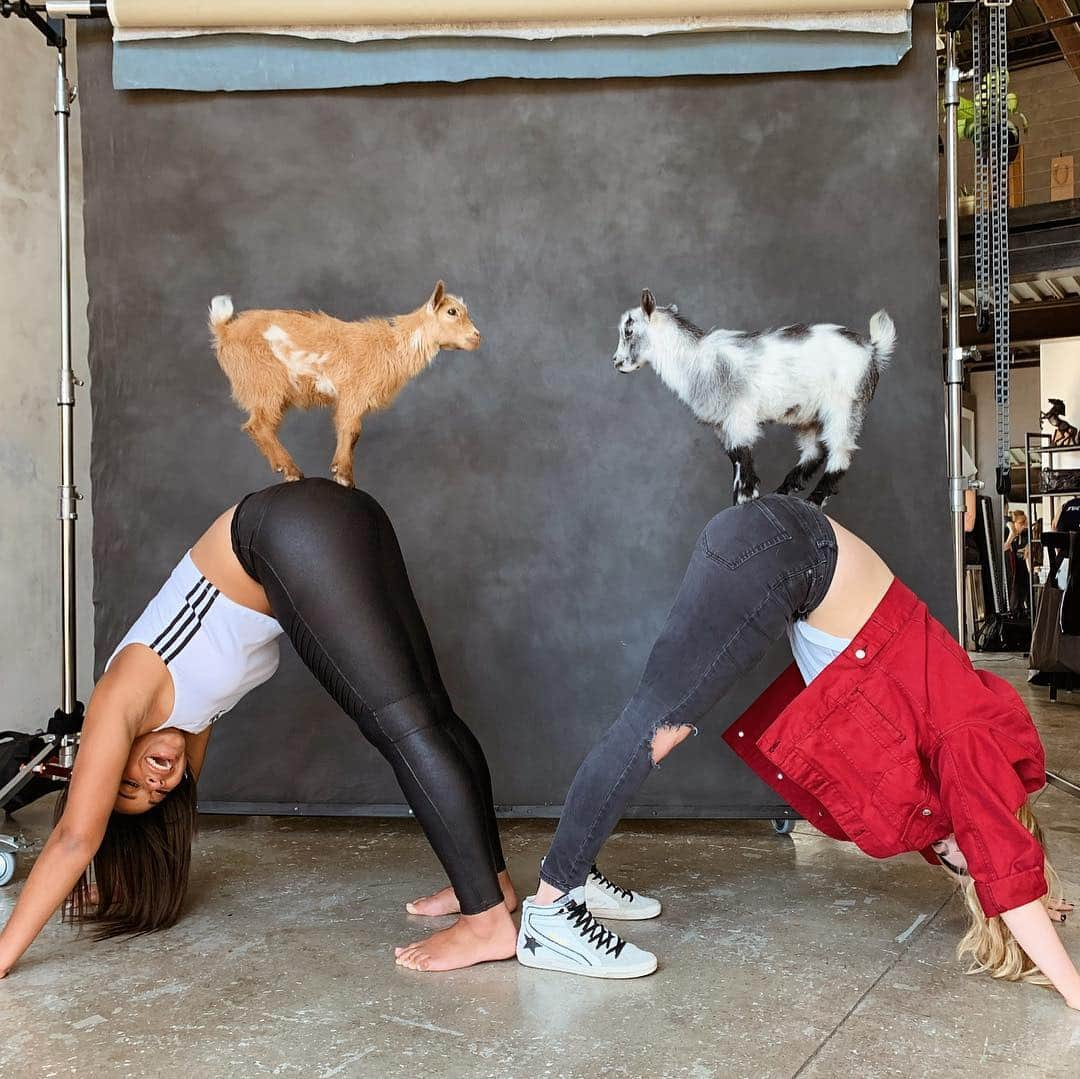 Nia Sioux Frazierさんのインスタグラム写真 - (Nia Sioux FrazierInstagram)「Another day at work 😂How cute are these little guys?! Swipe for more 🐐 Dress @fashionnova」4月5日 4時23分 - niasioux