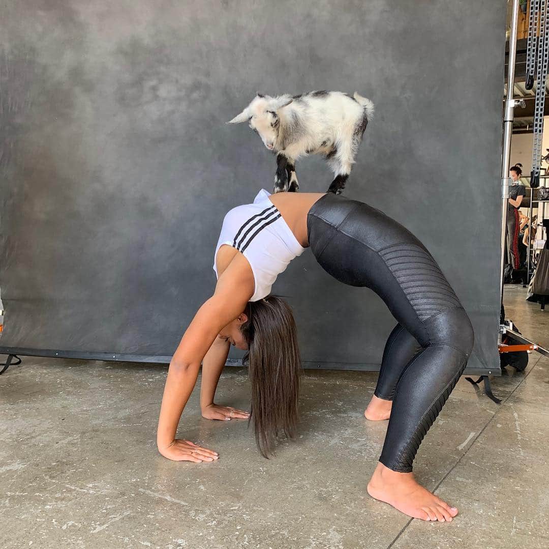 Nia Sioux Frazierさんのインスタグラム写真 - (Nia Sioux FrazierInstagram)「Another day at work 😂How cute are these little guys?! Swipe for more 🐐 Dress @fashionnova」4月5日 4時23分 - niasioux