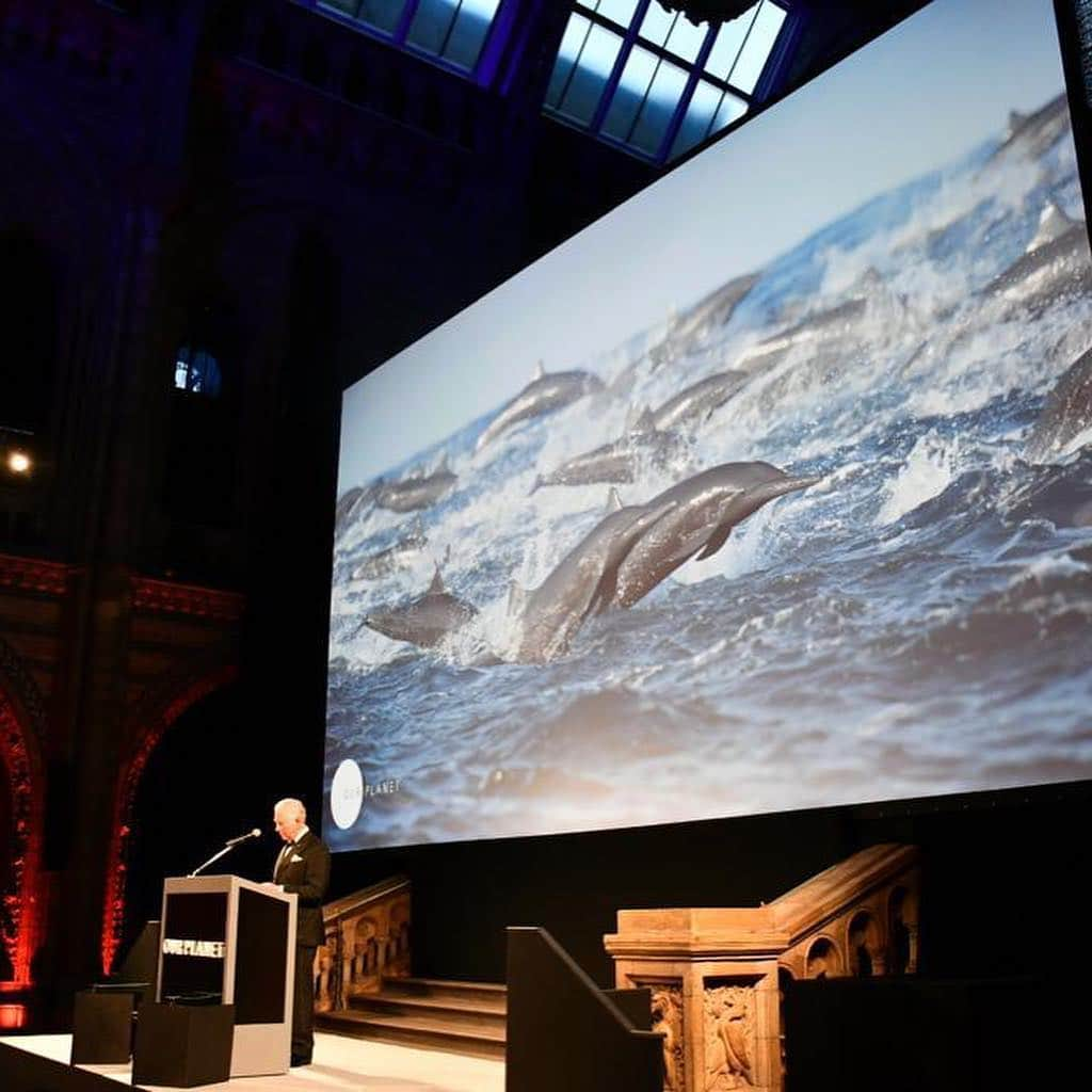 ロイヤル・ファミリーさんのインスタグラム写真 - (ロイヤル・ファミリーInstagram)「Tonight, The Prince of Wales, The Duke of Cambridge and The Duke of Sussex attended the global premiere of "Our Planet" at the Natural History Museum in London. Their Royal Highnesses were highlighting the multi-generational effort required to highlight the environmental challenges the world faces.  The new @netflixuk & @netflix series is narrated by Sir David Attenborough who also attended the premiere.  TRHs met guests at a reception and The Prince of Wales gave a speech in which he said: "It has given me great pride to see how both my sons, in different ways have taken up the cause of restoring the balance of Nature." The Duke of Cambridge founded “United for Wildlife” and The Duke of Sussex has long championed conservation work, especially in Africa as President of African Parks and Patron of Rhino Conservation Botswana. The @QueensCanopy was set up to protect forestry projects around the Commonwealth in Her Majesty's reign.  The Duke of Edinburgh was the first President of @wwf_uk until 1982 and then President of WWF-International @wwf from 1981 to 1996. He is now President Emeritus for WWF. Find out more @clarencehouse @kensingtonroyal and @sussexroyal」4月5日 4時42分 - theroyalfamily