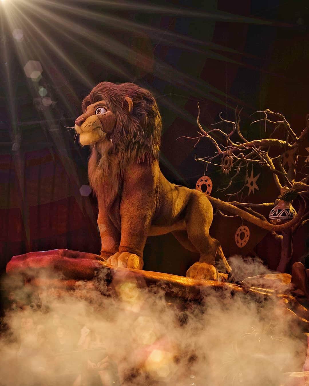 Walt Disney Worldさんのインスタグラム写真 - (Walt Disney WorldInstagram)「Hakuna Matata! 🦁 #LionKingCelebration #AnimalKingdom #WaltDisneyWorld (📷: @orpheous_prime_photography)」4月5日 5時25分 - waltdisneyworld