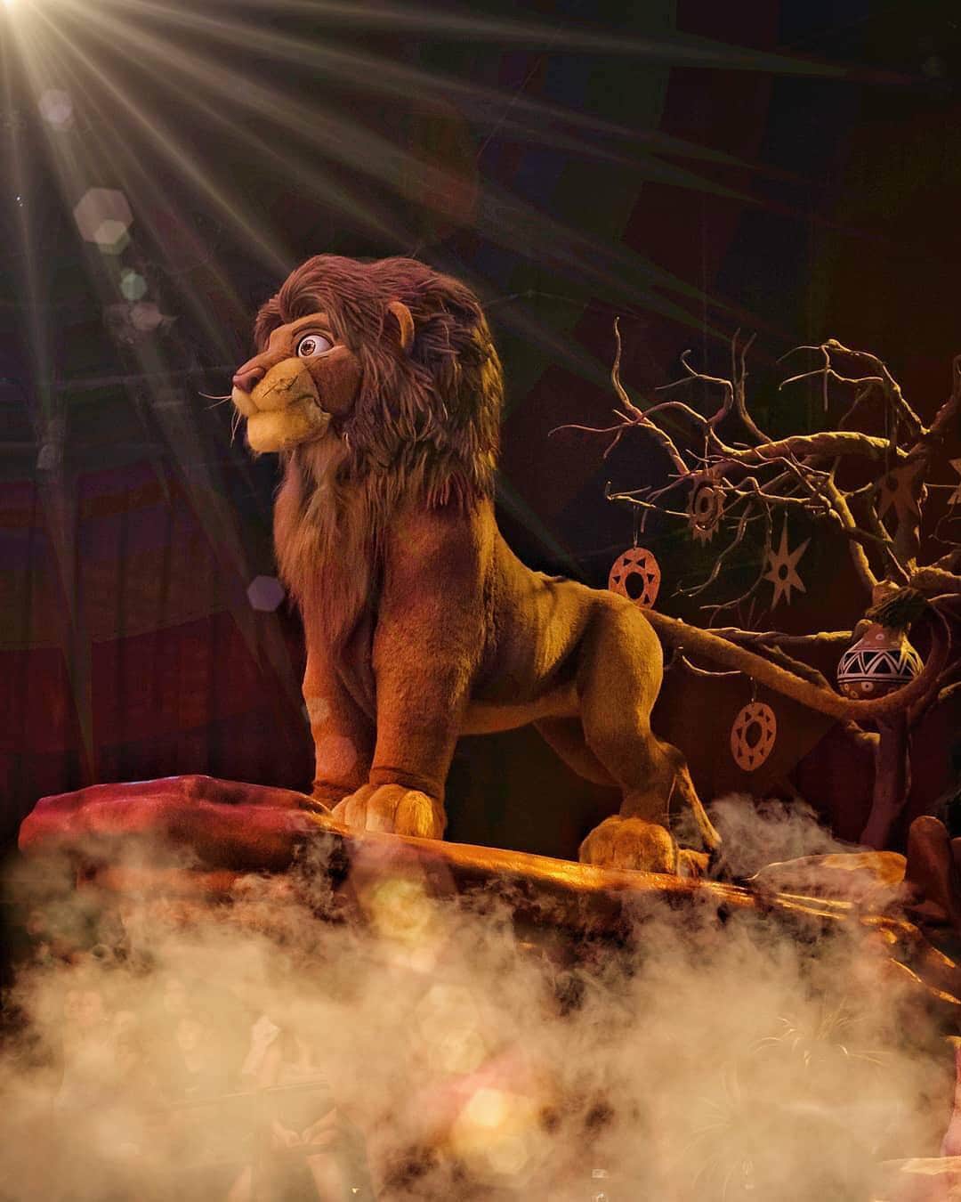 Walt Disney Worldのインスタグラム：「Hakuna Matata! 🦁 #LionKingCelebration #AnimalKingdom #WaltDisneyWorld (📷: @orpheous_prime_photography)」