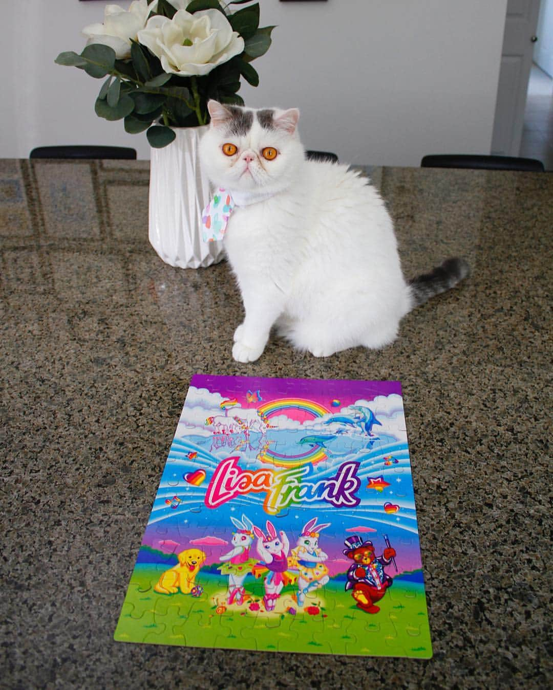 Kirby, Landru & Thomasのインスタグラム：「Lisa Frank!! Seeing my tie on Duffy (@squishdelish) in a Lisa Frank Facebook post made me so happy! It’s a faint connection but I’ll take it! Decided to bust out this puzzle from 20+ years ago that I’ve had since I was a little girl! Lisa Frank fan forever!! Who else is a fan? 💘 @lisa_frank Not even a missing piece! #dagoozie #LisaFrank #iconic #90sstyle」