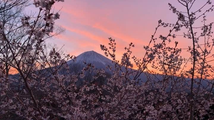 phantastic420のインスタグラム：「. 🤩🤩“Shizuoka” prefecture in Japan is a place where you can see the most “phantastic” Mt. Fuji🗻 in the world.🤩 #富士山 #mtfuji #japan #shizuoka #fujinomiya  #phantastic420photography #mostphantasticmtfuji #selamatpagi  #goodmorning  #おはようございます 😇😇😇😇😇😇😇🗻😇😇 素晴らしい朝でしたが、自宅じゃなくてあそこで撮りたかったなぁ〜🤣こんなに焼けるとは…🤣」