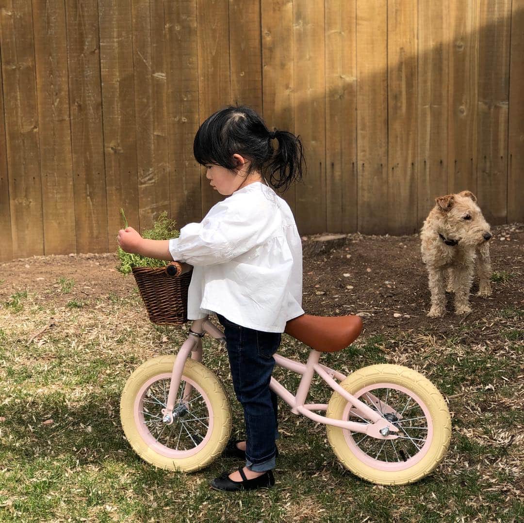 ayanoさんのインスタグラム写真 - (ayanoInstagram)「2019.4.4＊ . white × denim . リンクコーデでお散歩へ♩ マネっこしてかごバッグさげてるけど なんか駅弁売ってる人みたい😂 . バイクの練習も頑張ってたけどなかなか…」4月5日 6時57分 - bamvet