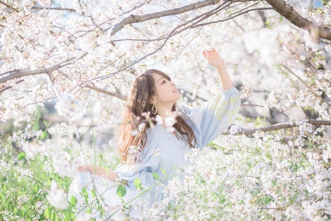 白石ゆうかさんのインスタグラム写真 - (白石ゆうかInstagram)「昨日はいい天気でした🌸  #sakura #cherryblossom  #ポートレート #portrait #写真好きな人と繋がりたい #写真撮ってる人と繋がりたい #ファインダー越しの私の世界 #model #撮影 #pic #picture #picoftheday #ポートレートしま専科 #写真 #love #like #東京カメラ部 #ポートレート女子 #follow #followme #instagood #ig_japan #photoofthday #photography #japan #japanese #photo」4月5日 7時17分 - shiraishi_yuuka