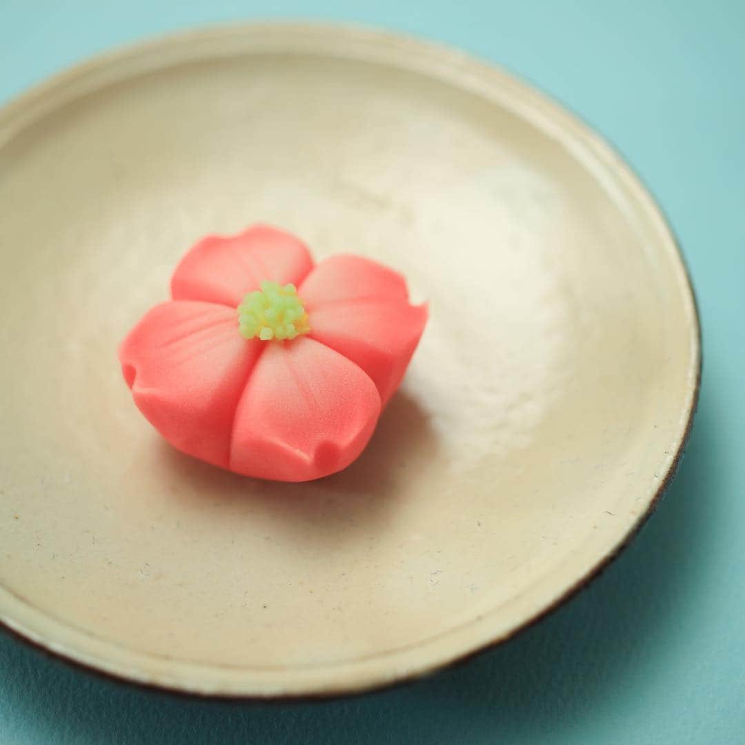 Toru Tsuchieのグルメインスタ