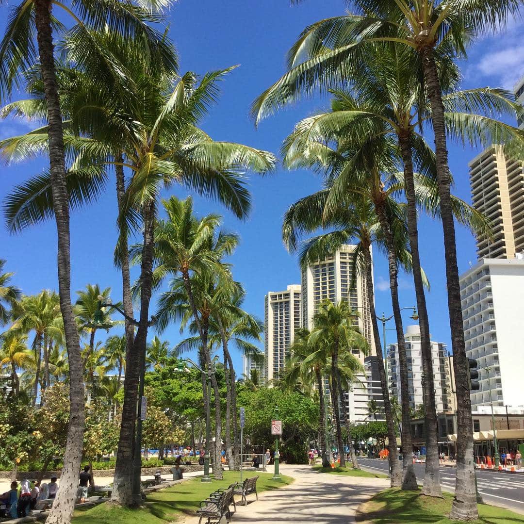 Belle Vie Hawaiiさんのインスタグラム写真 - (Belle Vie HawaiiInstagram)「ここのところ﻿ さわやかな晴天続きのワイキキです☀️﻿ ﻿ カラカウア通りにある﻿ プリンス・クヒオ像周辺は﻿ ビーチを横目に見ながら歩くのに﻿ ちょうど良いお散歩コースです🚶🏻‍♂️🚶‍♀️🌴﻿ ﻿ ﻿ #belleviehawaii #hawaii﻿ #waikiki #waikikibeach﻿ #aloha #honolulu﻿ #kalakaua #kuhio﻿ #hawaiilife #honoluluhawaii﻿ #ハワイ #ベルヴィー﻿ #ハワイ旅行 #ハワイ好き﻿ #ハワイ大好き #アロハ﻿ #ハワイコスメ #ハワイ買い物﻿ #ワイキキ #ワイキキビーチ﻿ #ホノルル #ハワイ生活﻿ #ハワイ好きな人と繋がりたい﻿」4月5日 7時22分 - belleviehawaii