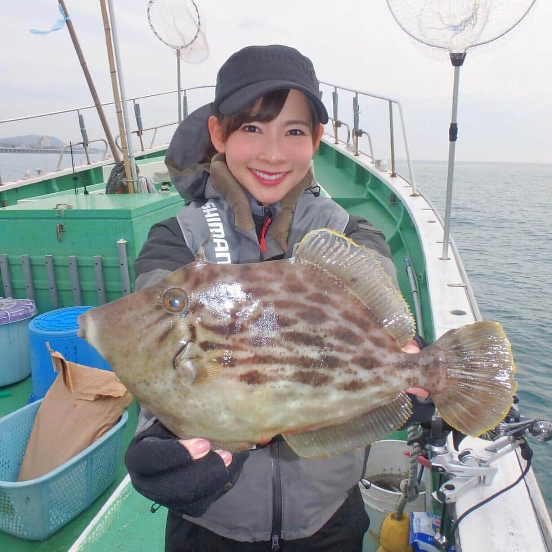 のインスタグラム：「🐟♡ でーん!! 美味しい魚がいっぱい(∩❛ڡ❛∩)😋💕💕 日本はまだ寒いですね☃︎💦 冬物か春物か悩む季節..😂❄️🌸 ＊ #fish #filefish #horsemackerel #gurnard #fishing #boat #boatfishing #fishinggirl #釣り #カワハギ #29cm #アジ #ホウボウ #魚 #海 #船 #阪本智子 #レッツリー」
