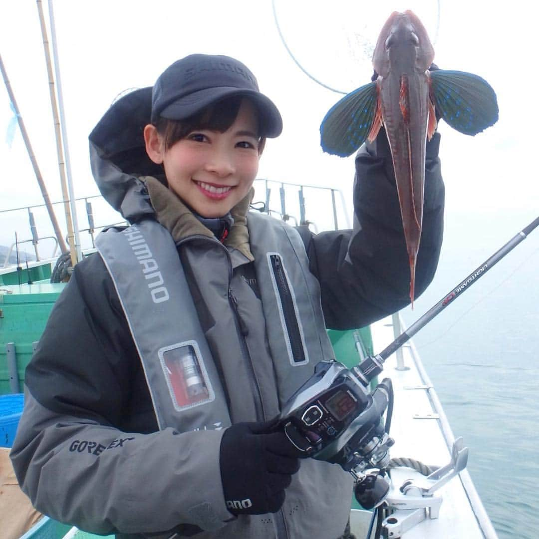 阪本智子さんのインスタグラム写真 - (阪本智子Instagram)「🐟♡ でーん!! 美味しい魚がいっぱい(∩❛ڡ❛∩)😋💕💕 日本はまだ寒いですね☃︎💦 冬物か春物か悩む季節..😂❄️🌸 ＊ #fish #filefish #horsemackerel #gurnard #fishing #boat #boatfishing #fishinggirl #釣り #カワハギ #29cm #アジ #ホウボウ #魚 #海 #船 #阪本智子 #レッツリー」4月5日 7時30分 - tomoko_sakamoto423